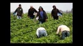 CLP0nboNcDFiSQbnmEuN-Dl72eJkfbmt4t8yenImKBXEejxNn4ZJNZ2ss5Ku7Cxt